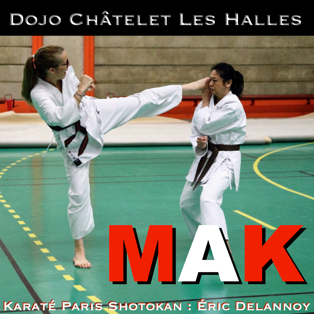 MAK Karaté - Éric Delannoy